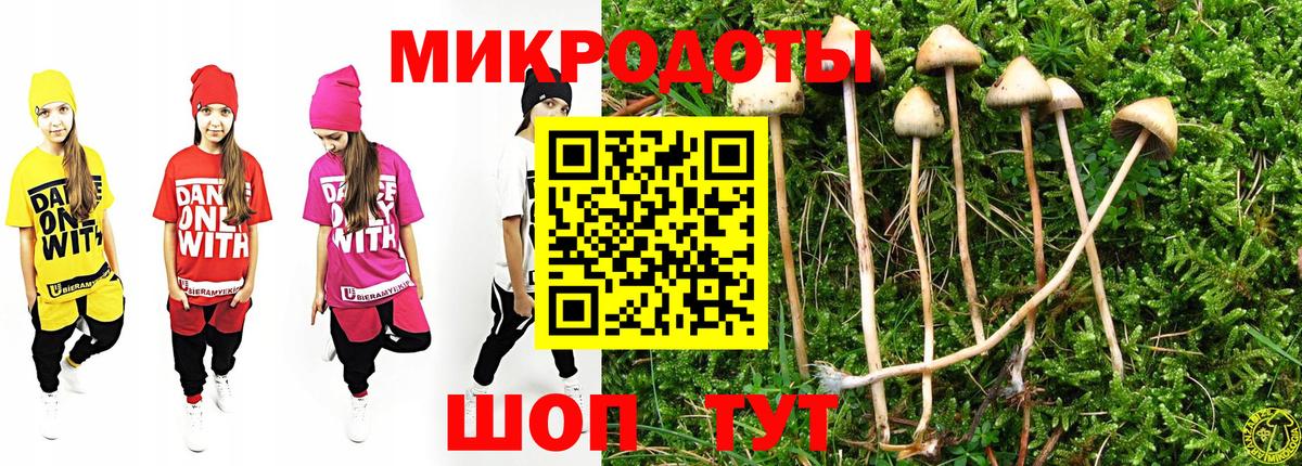 Псилоцибиновые грибы прущие грибы Жуковский