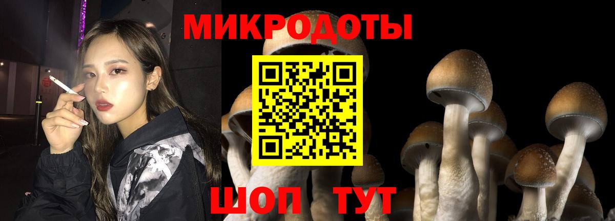 Жуковский  Галлюциногенные грибы мухоморы  Вход с VPN  Псилоцибиновые грибы мухоморы 